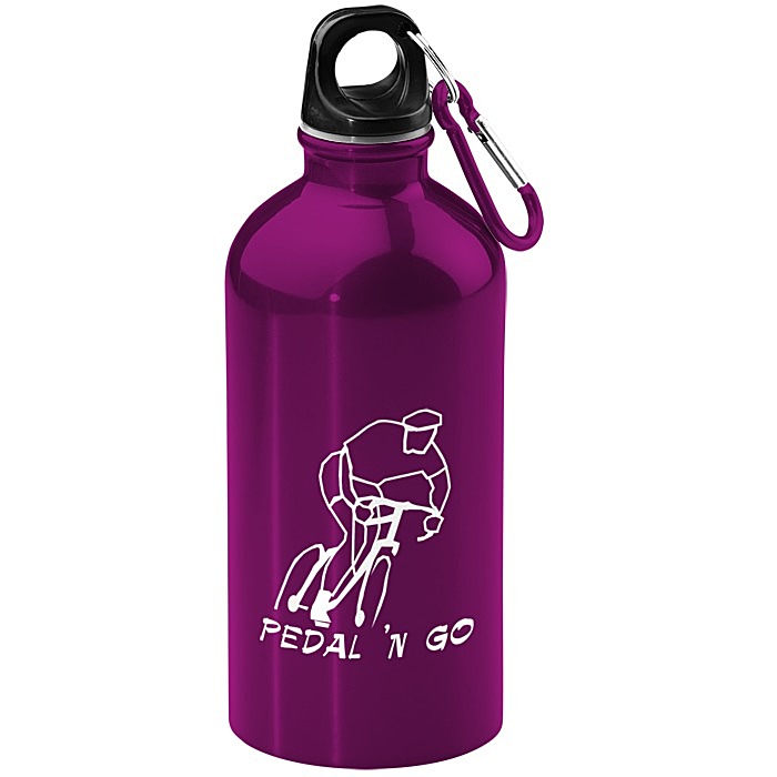 Custom Carabiner Stainless Steel Water Bottle - 16 oz.
