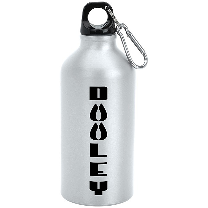 Custom Aluminum Water Bottle with Carabiner - 16 oz - Matte - 24 hr